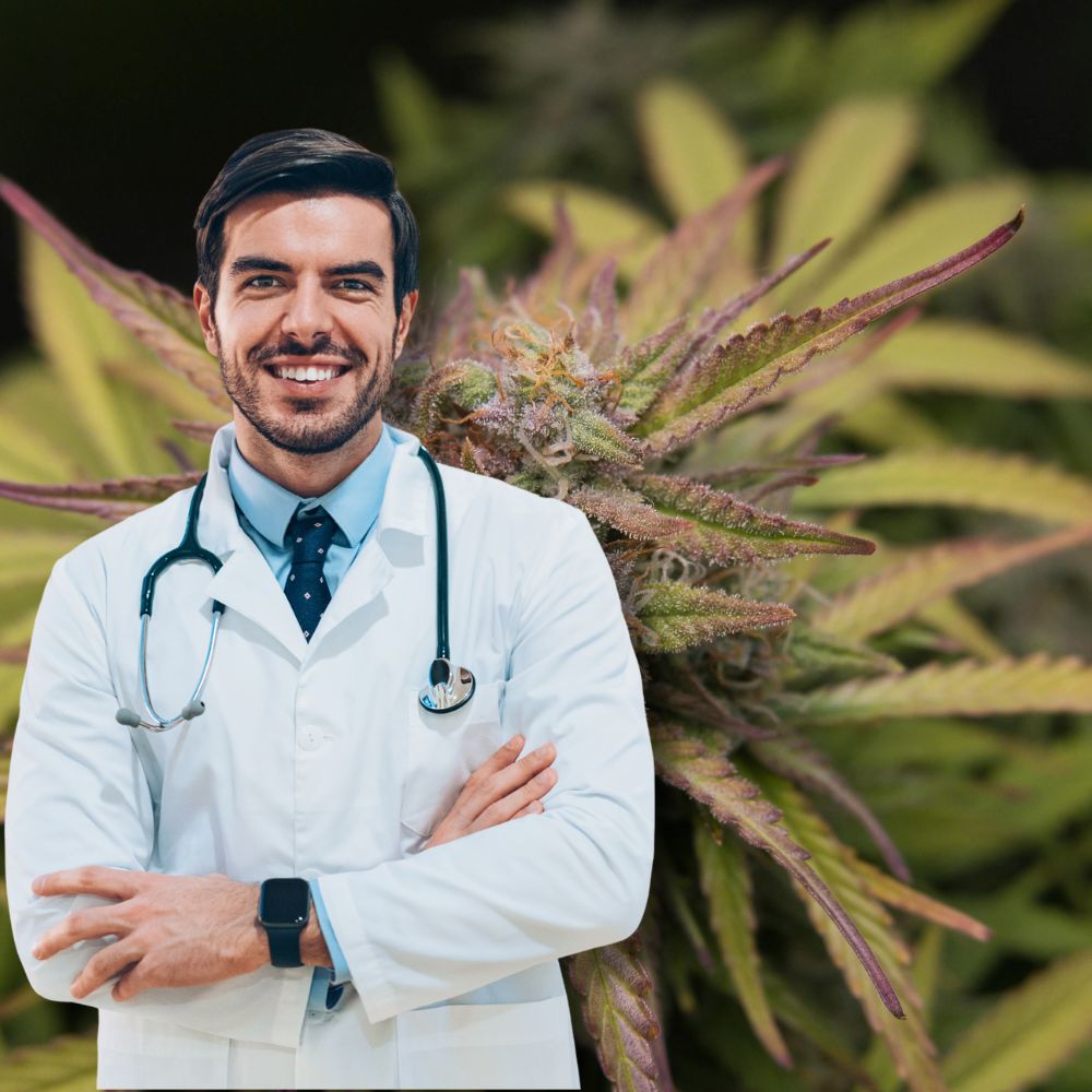 Cannabis Rezept München